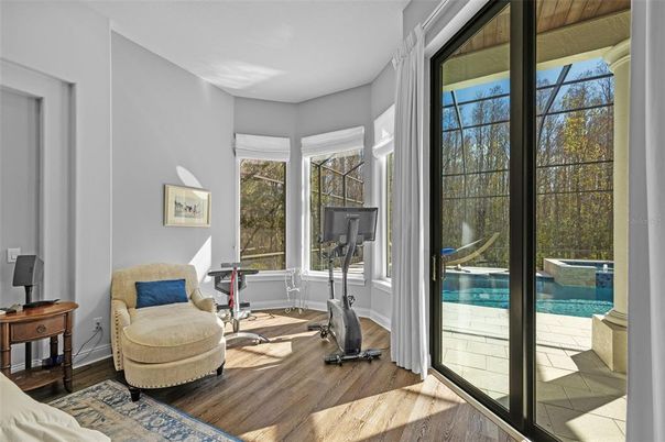 Interior, Sun Room, Wood Texture Flooring