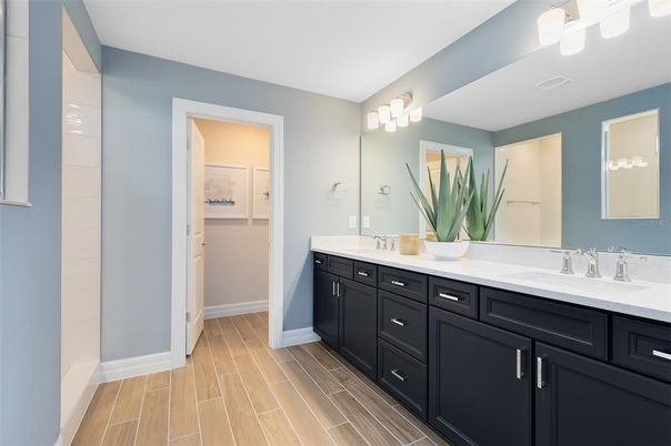 Bathroom, Dual Sink Vanities, Interior, Wood Texture Flooring