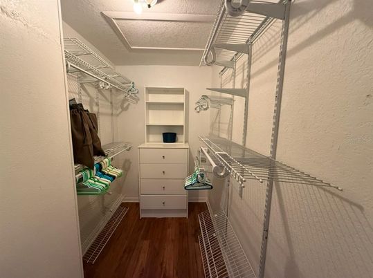 Interior, Walk-in Closets, Wood Texture Flooring