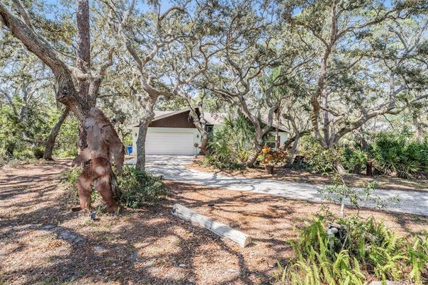 Backyard, Detached Garage, Exterior