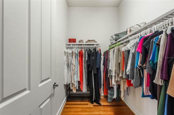 Interior, Walk-in Closets, Wood Texture Flooring