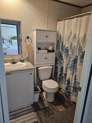 Bathroom, Interior, Wood Texture Flooring