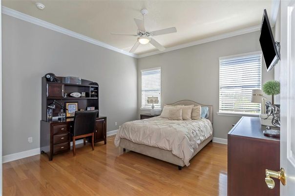 Bedroom, Home Office, Interior, Wood Texture Flooring
