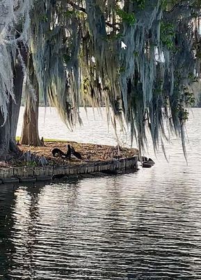 Exterior, Lake