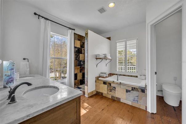 Bathroom, Interior, Recessed Lighting, Wood Texture Flooring