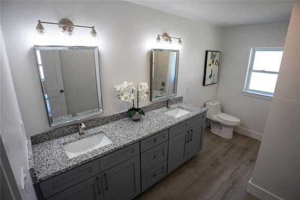 Bathroom, Dual Sink Vanities, Interior, Wood Texture Flooring