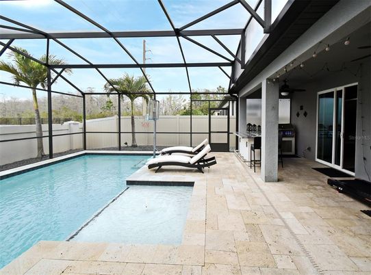 Glass Ceilings, Interior, Pool, Sun Room