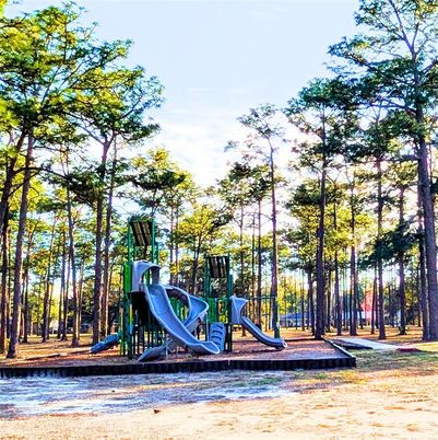 Backyard, Exterior, Playground