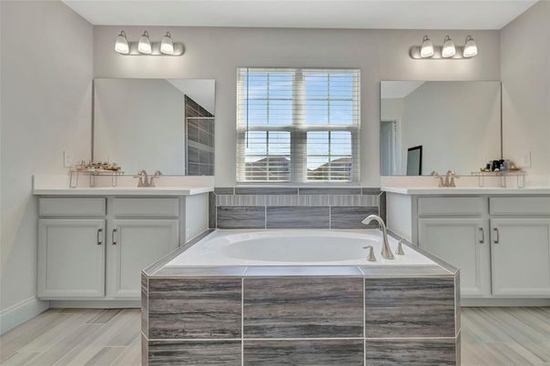 Bathroom, Dual Sink Vanities, Interior, Wood Texture Flooring