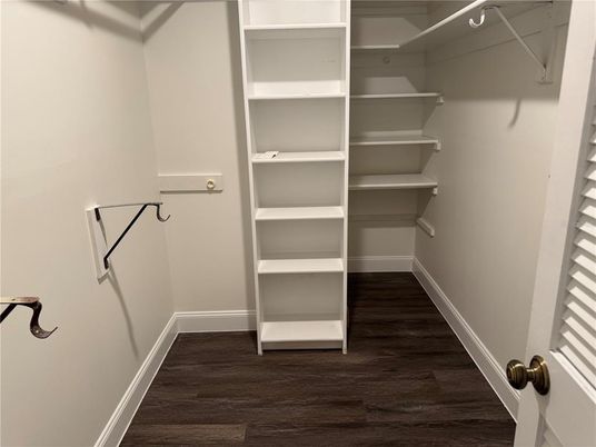 Interior, Walk-in Closets, Wood Texture Flooring