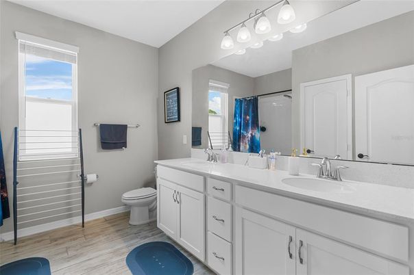 Bathroom, Dual Sink Vanities, Interior, Wood Texture Flooring