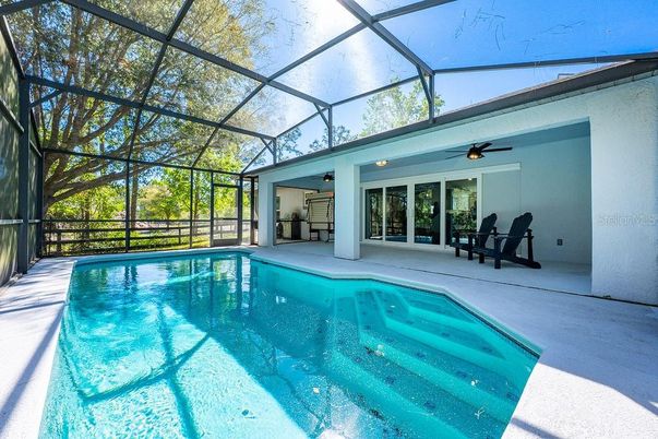 Glass Ceilings, Interior, Pool, Sun Room