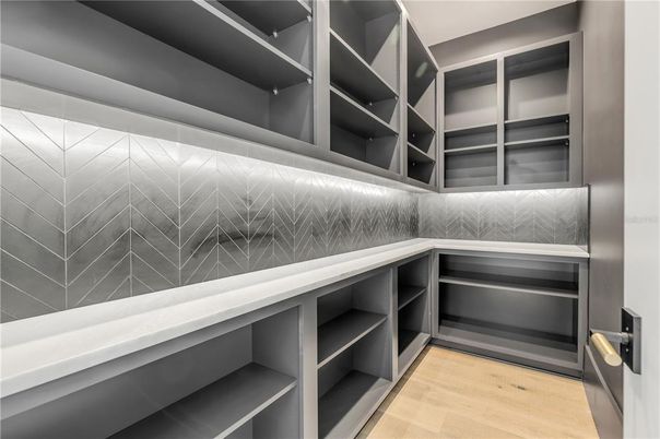 Interior, Walk-in Closets, Wood Texture Flooring