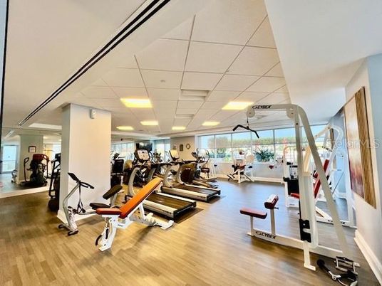 Fitness Equipment, Gym, Interior, Recessed Lighting, Wood Texture Flooring