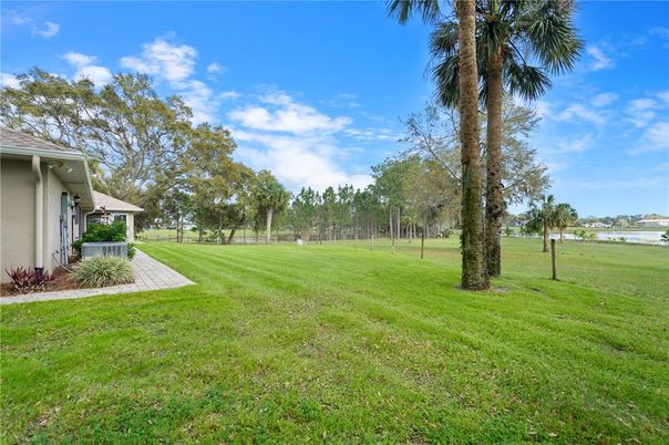 Backyard, Exterior, Water