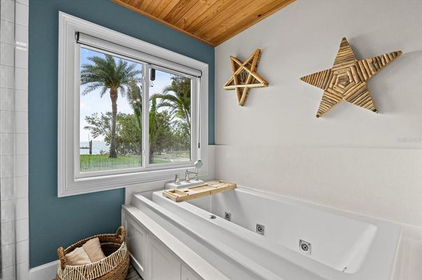 Bathroom, Interior, Wooden Ceilings