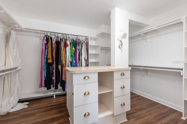 Interior, Walk-in Closets, Wood Texture Flooring