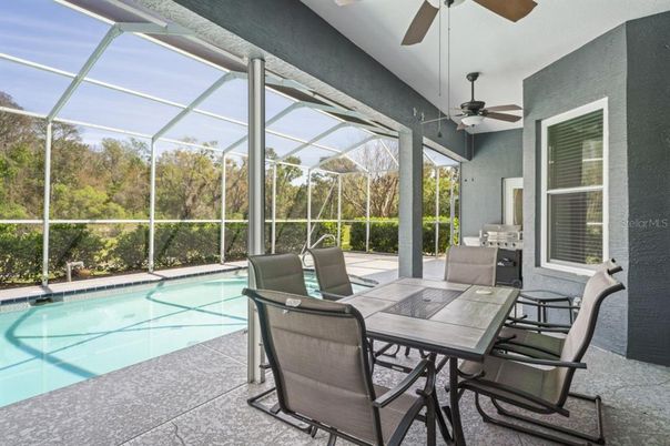 Glass Ceilings, Interior, Pool, Sun Room