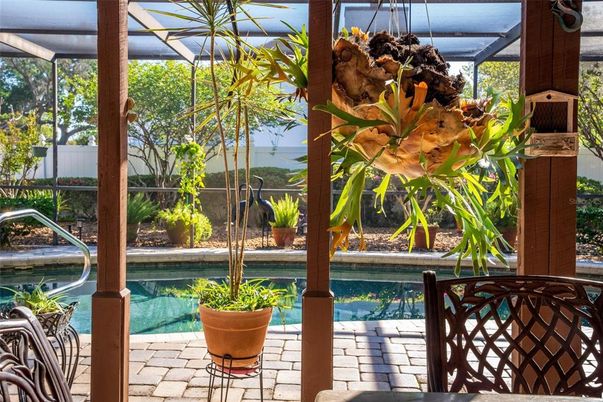 Glass Ceilings, Interior, Pool, Sun Room