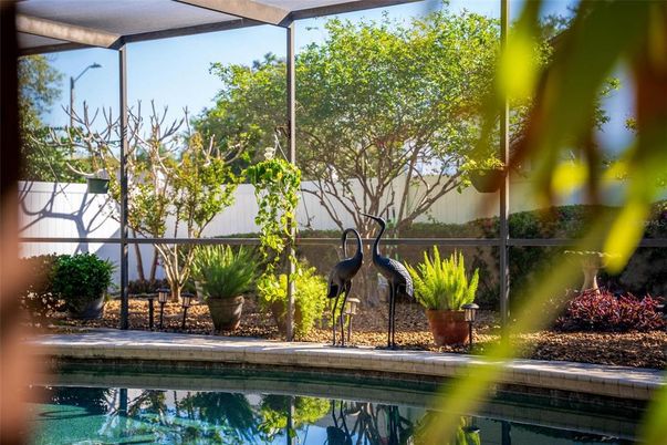 Interior, Pool, Sun Room