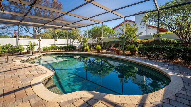 Glass Ceilings, Interior, Pool, Sun Room