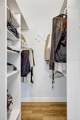 Interior, Walk-in Closets, Wood Texture Flooring