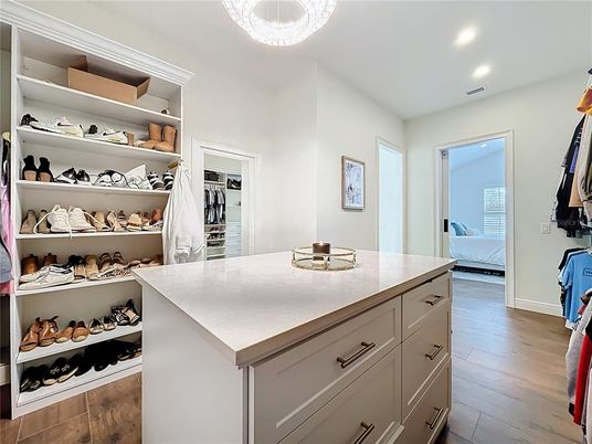 Interior, Recessed Lighting, Walk-in Closets, Wood Texture Flooring