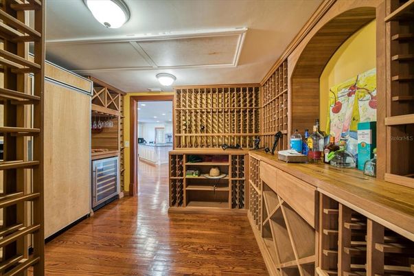 Interior, Wine Storage, Wood Texture Flooring