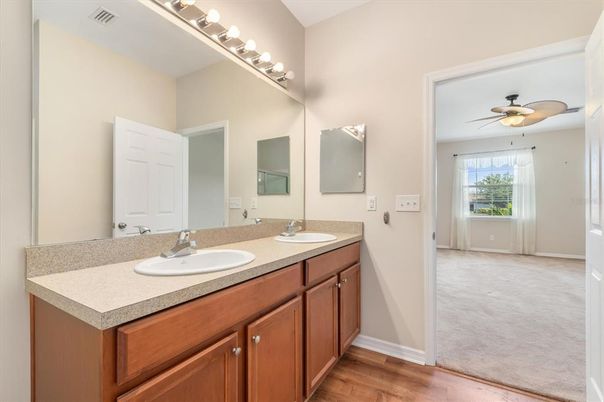 Bathroom, Dual Sink Vanities, Interior, Wood Texture Flooring