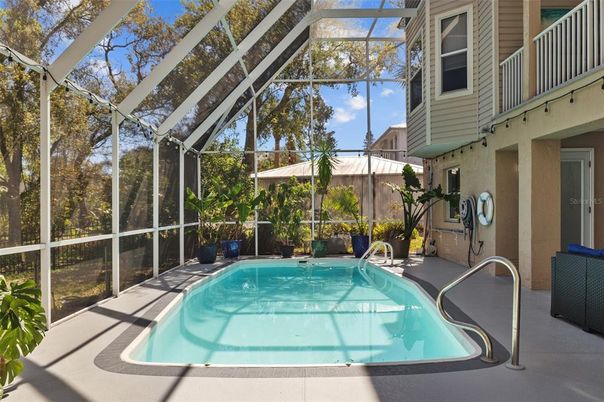 Glass Ceilings, Interior, Pool, Sun Room