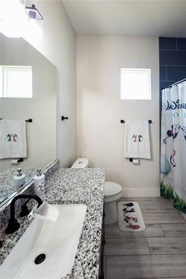 Bathroom, Interior, Wood Texture Flooring