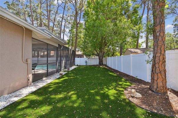 Backyard, Exterior