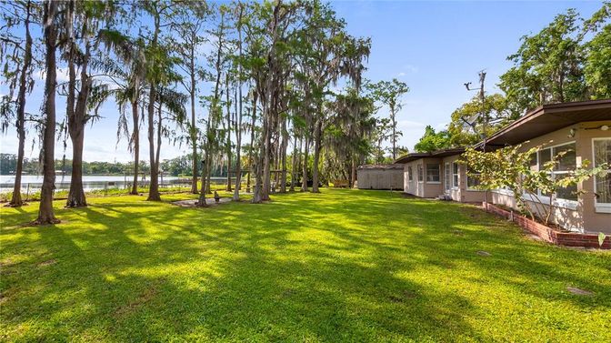 Backyard, Exterior, Water