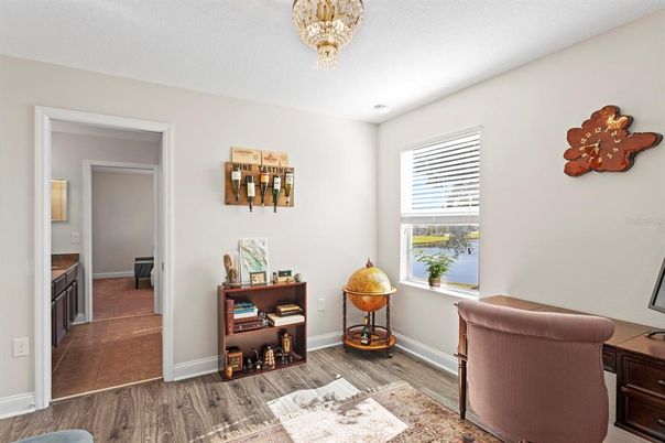 Chandelier, Interior, Wood Texture Flooring
