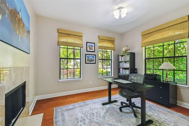 Fireplace, Home Office, Interior, Wood Texture Flooring