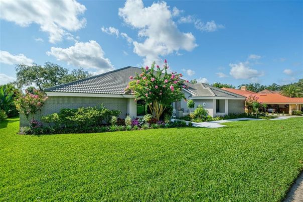 Backyard, Exterior, Solar Panels
