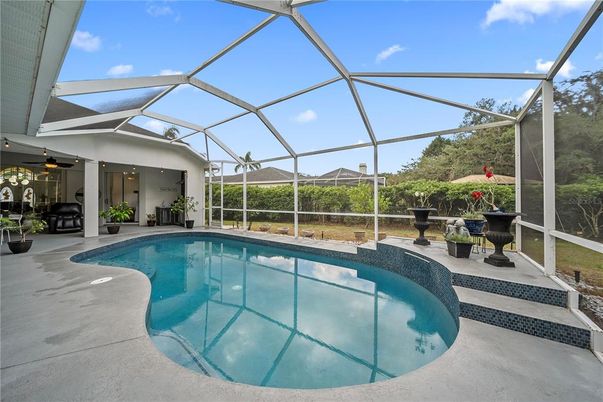 Glass Ceilings, Interior, Pool, Sun Room