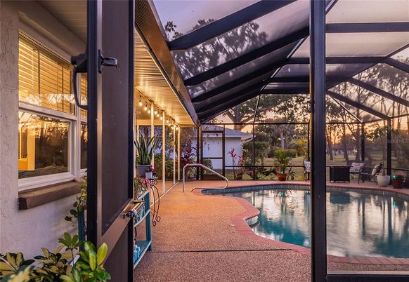 Glass Ceilings, Interior, Pool, Sun Room