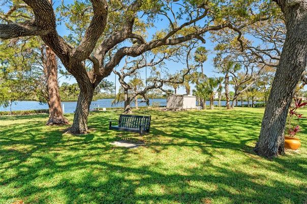 Backyard, Exterior, Water