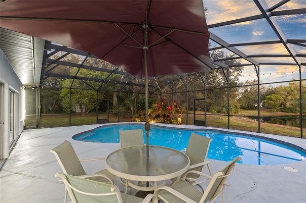 Glass Ceilings, Interior, Pool, Sun Room