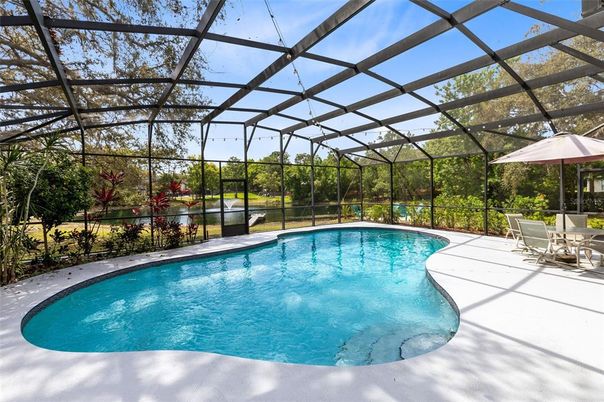 Glass Ceilings, Interior, Pool, Sun Room