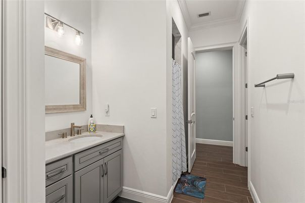 Bathroom, Interior, Wood Texture Flooring