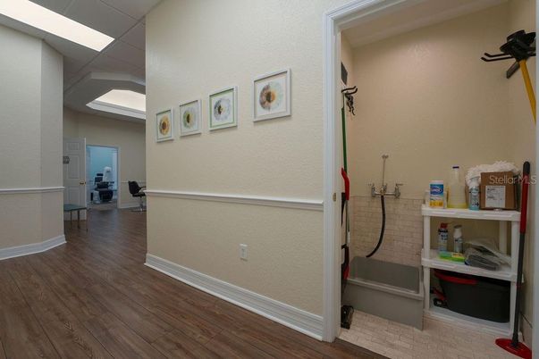 Interior, Wood Texture Flooring