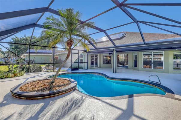 Glass Ceilings, Interior, Pool, Sun Room