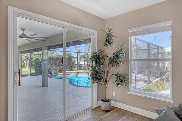 Interior, Sun Room, Wood Texture Flooring