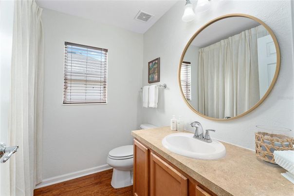Bathroom, Interior, Wood Texture Flooring