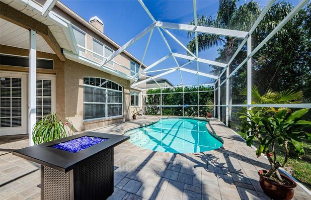 Glass Ceilings, Interior, Pool, Sun Room