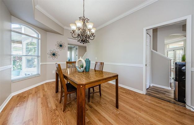 Chandelier, Dining room, Interior, Wood Texture Flooring