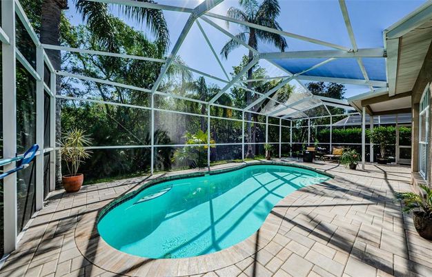 Glass Ceilings, Interior, Pool, Sun Room
