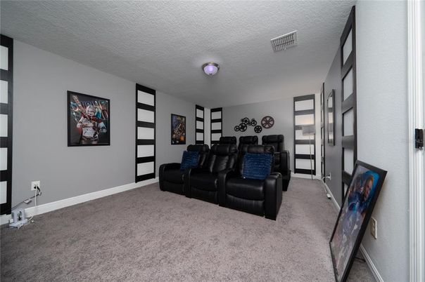Home Theatre Room, Interior